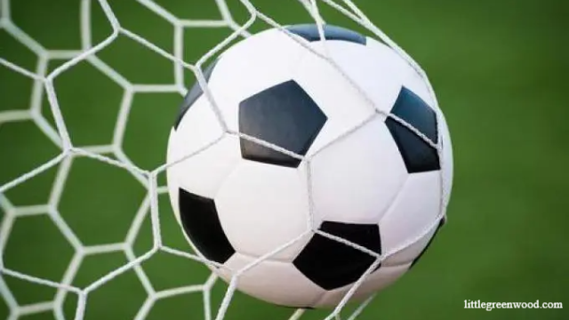 Keunggulan Saat Bermain Judi Bola Online